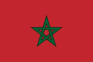 法屬摩洛哥 國旗