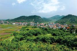 獅子口村[山東青島市萊西市店埠鎮下轄村]