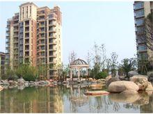 博威香檳小鎮實景圖