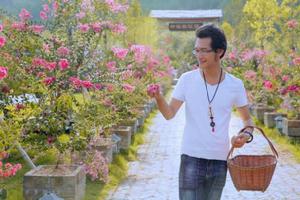 為你種下千畝紫薇花 為你種下千畝紫薇花