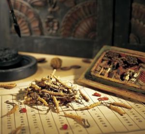 發酵中藥 發酵中藥