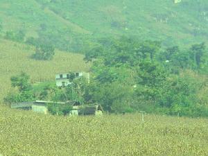 大關垴自然村 大關垴自然村
