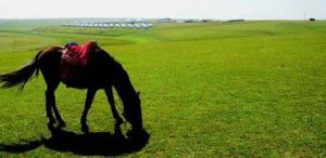 新世紀青年生態園 新世紀青年生態園