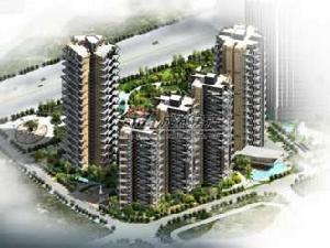 觀瀾東山 觀瀾東山