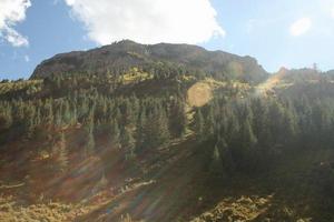 日沃白馬神山的夏歌泵日