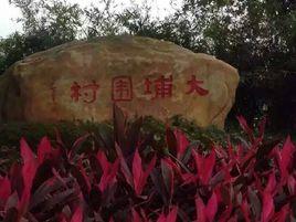 大埔圍村 大埔圍村