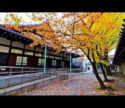 東本願寺 東本願寺