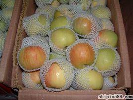 藤牧一號 藤牧一號