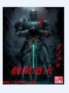 極限追擊[小說]