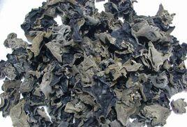 黃山石耳 黃山石耳