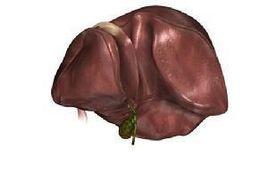 十二指腸液檢驗 十二指腸液檢驗