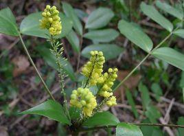 台灣十大功勞 台灣十大功勞