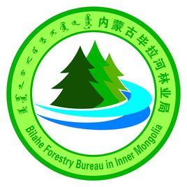 畢拉河林業局 畢拉河林業局