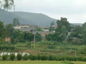 普馬中村 普馬中村