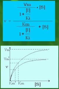 反競爭性抑制 反競爭性抑制