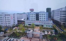 廣元市精神衛生中心 廣元市精神衛生中心