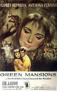 綠色公寓 綠色公寓