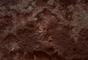 節狀火黏土 節狀火黏土