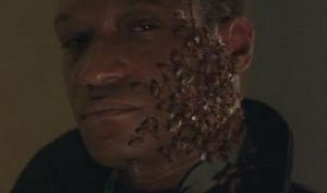 蜜蜂人:腥風血雨