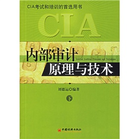 內部審計原理與技術