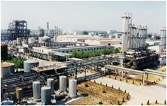 沭化集團 沭化集團