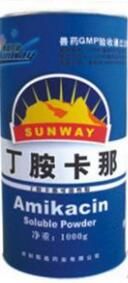 丁胺卡那 丁胺卡那