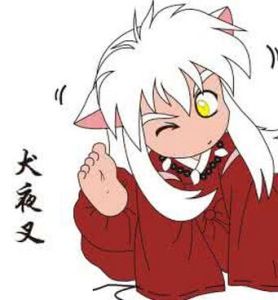 《犬夜叉》 《犬夜叉》