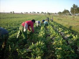大青溝鎮 大青溝鎮