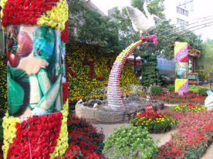 端午花街 端午花街