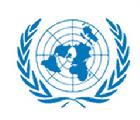 聯合國徽標