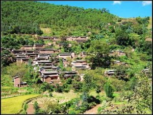 梅紅大村 梅紅大村