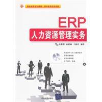 erp人力資源管理實務 erp人力資源管理實務