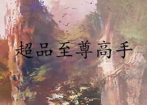 超品至尊高手 超品至尊高手