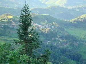 太陽沖村 太陽沖村