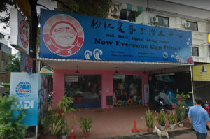 粉紅鯊潛水中心 粉紅鯊潛水中心