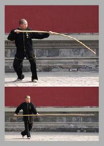 太極抖桿 太極抖桿