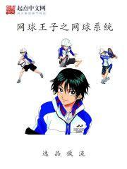 網球王子之網球系統 網球王子之網球系統