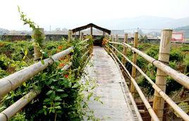 白沙灣生態農莊 白沙灣生態農莊