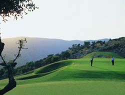 聖安德魯斯球場