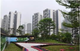 水榭春天 水榭春天