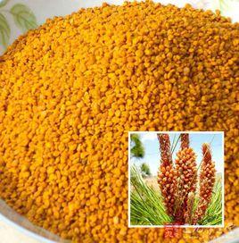 中林松花粉 中林松花粉