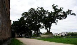 上圍古寨 上圍古寨