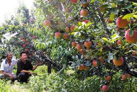 大王古莊鎮 大王古莊鎮