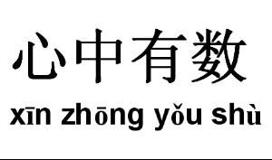 心中有數 心中有數