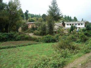 后街二自然村 后街二自然村