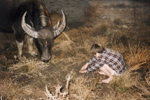 電影《牽牛花》劇照