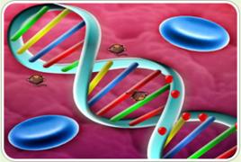 氣球塔防4升級版2 氣球塔防4升級版2