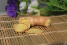 生薑[常用調味植物]