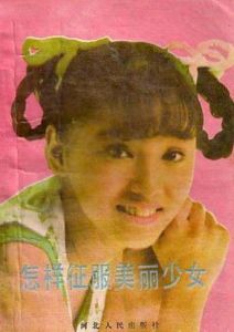 《怎樣征服美麗少女》 《怎樣征服美麗少女》