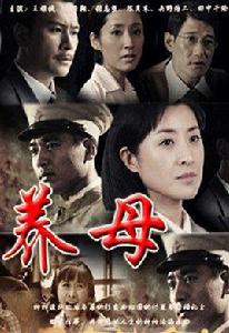 養母[2011年溫成林執導的電視劇]